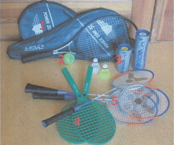 Badminton \ Tennis (LSB)
